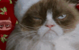 鑫耀与您走向2018年前的节日