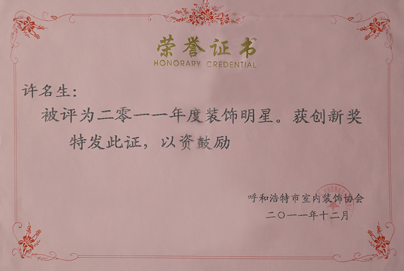 2011年度装饰明星